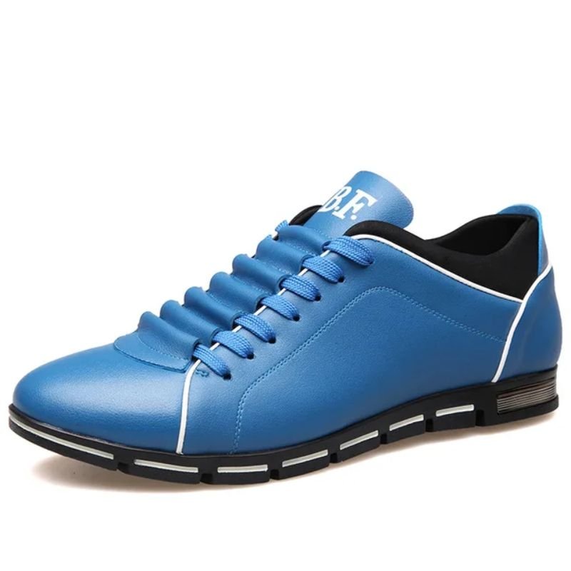 Barocci Federico Sneakers - Aries x Rose