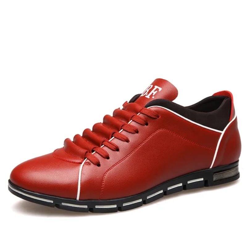 Barocci Federico Sneakers - Aries x Rose