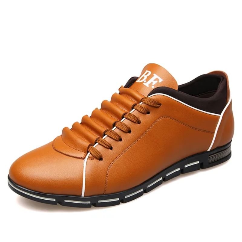 Barocci Federico Sneakers - Aries x Rose