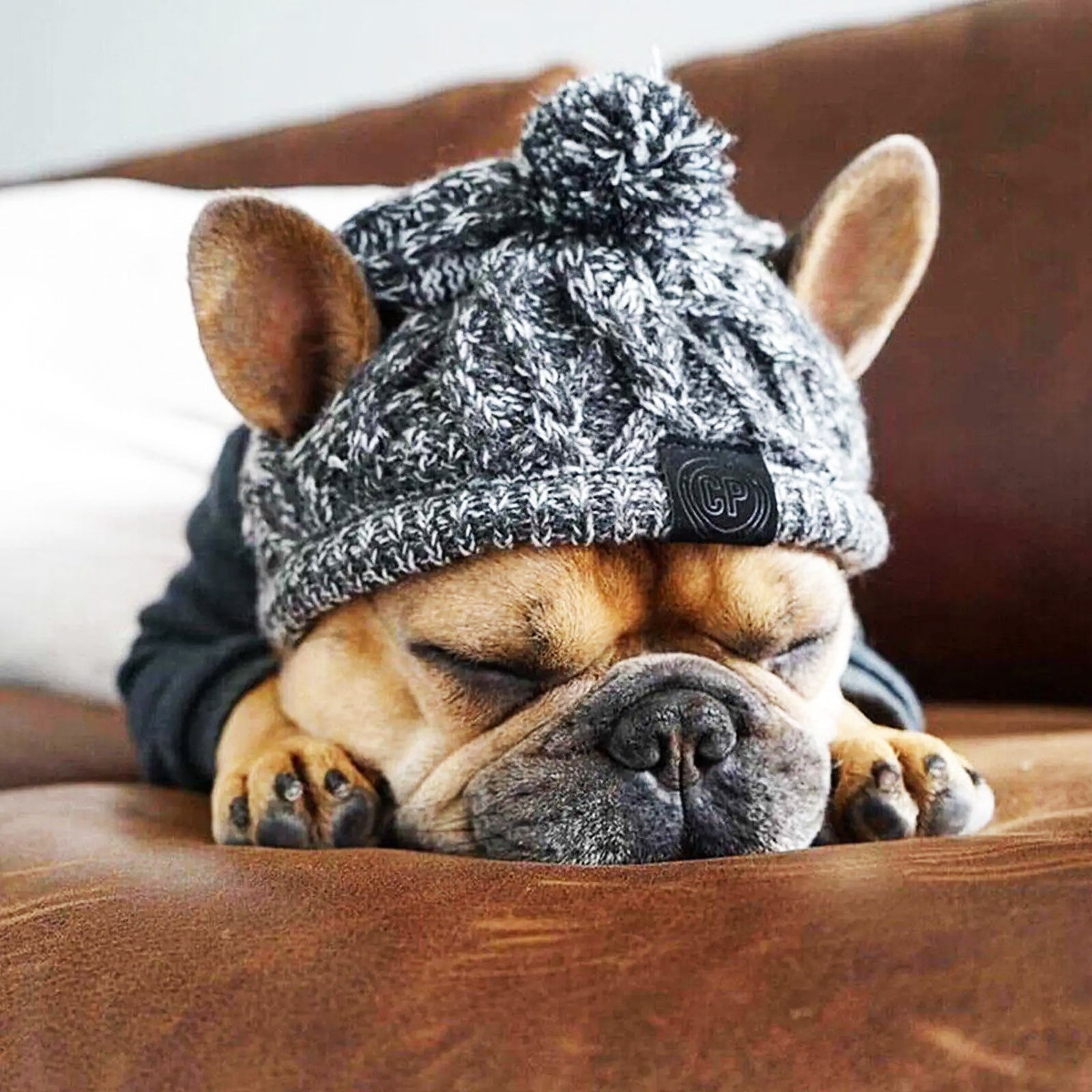 Ollie Knitted Hat - Aries x Rose