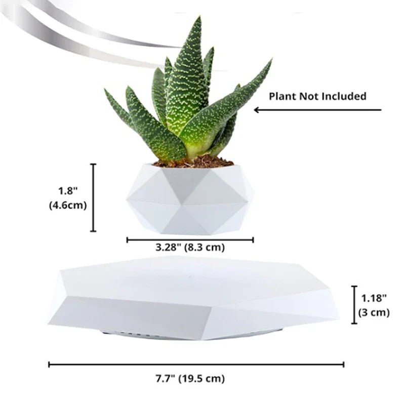 Veylo Floating Bonsai Planter - Aries x Rose