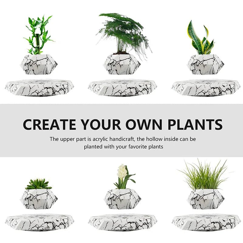 Veylo Floating Bonsai Planter - Aries x Rose