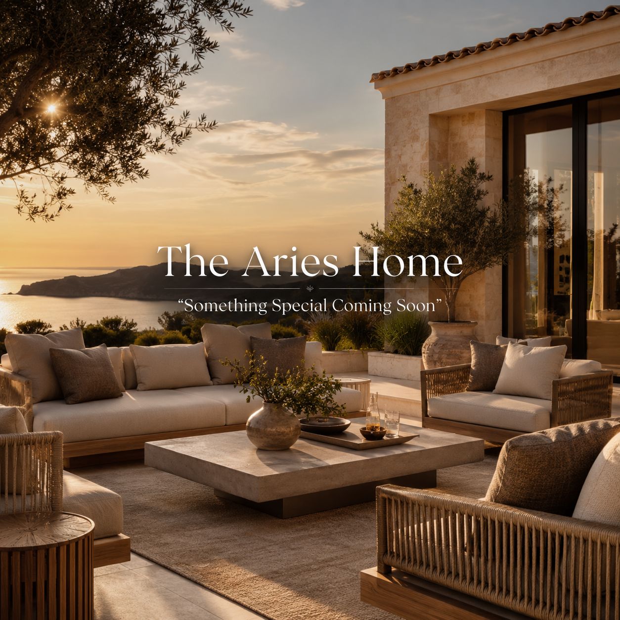 The Aries Home