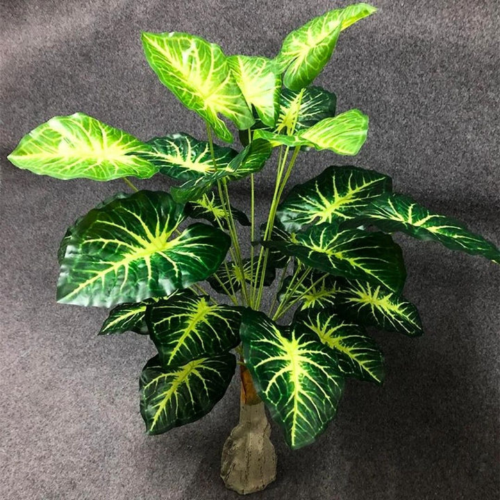 Eywa Tropical Plants