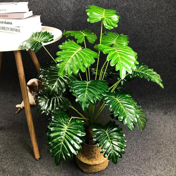 Eywa Tropical Plants