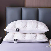 SleepWell Goose Down Pillow