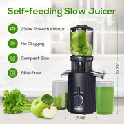 Celiberry Cold Press Juicer - Slow Masticating 55 RPM with 4.1" Large Feed Chute for Whole Fruits & Vegetables, Self-Feeding Quiet Motor, Automatic Pulp Separation, Easy Clean Compact Design for Home Use