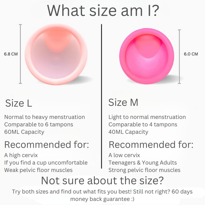 Femnix Menstrual Disc