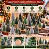 Snow-Frosted Mini Christmas Trees with Wooden Bases