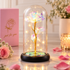Enchanted LED Rose Glass Dome