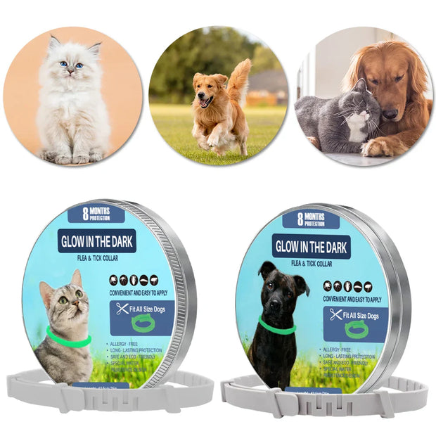 PetShield Fluorescent Flea Collar