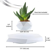 Veylo Floating Bonsai Planter