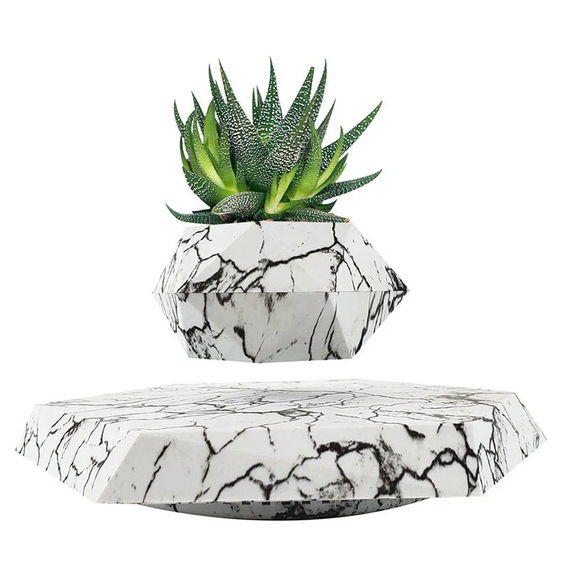 Veylo Floating Bonsai Planter - Aries x Rose