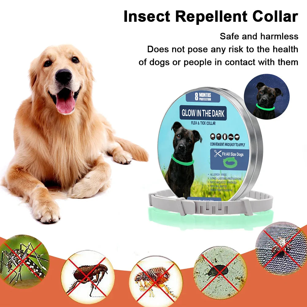 PetShield Fluorescent Flea Collar