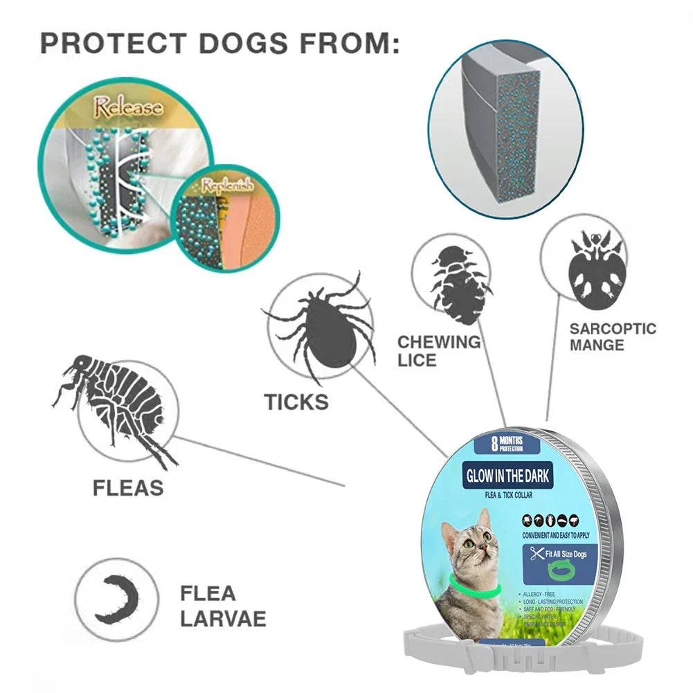 PetShield Fluorescent Flea Collar