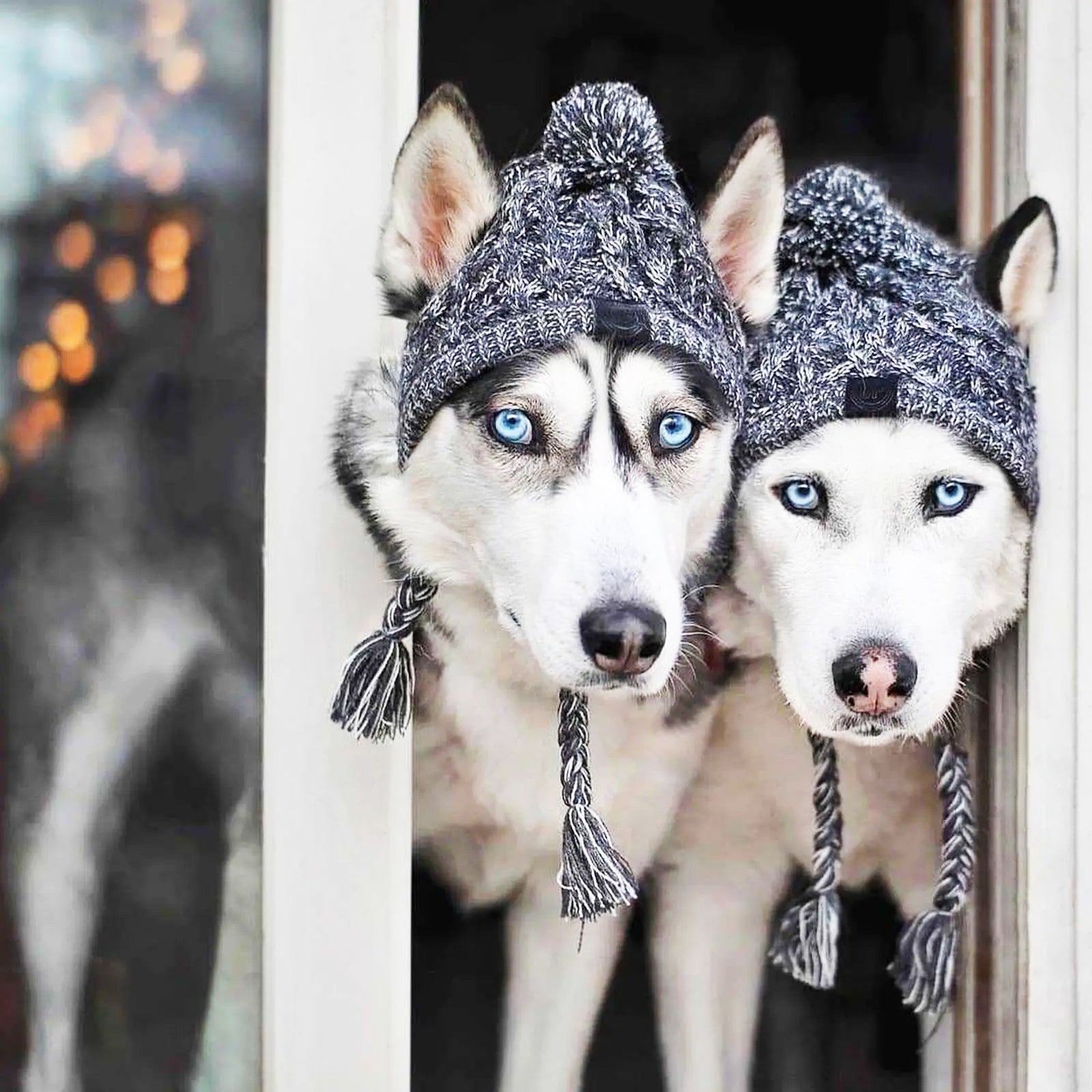 Ollie Knitted Hat - Aries x Rose