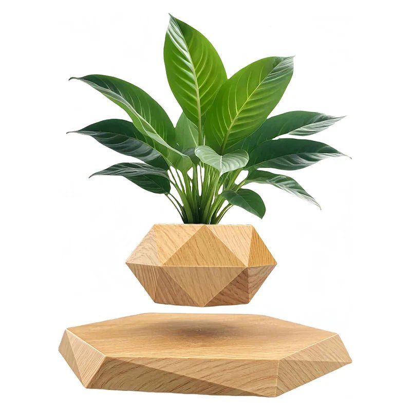 Veylo Floating Bonsai Planter - Aries x Rose