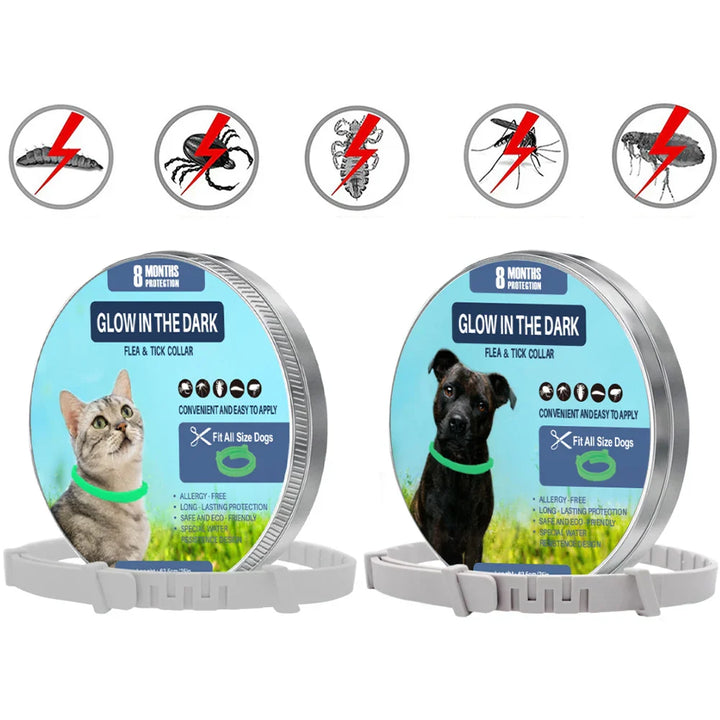 PetShield Fluorescent Flea Collar