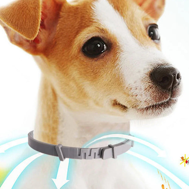 PetShield Fluorescent Flea Collar
