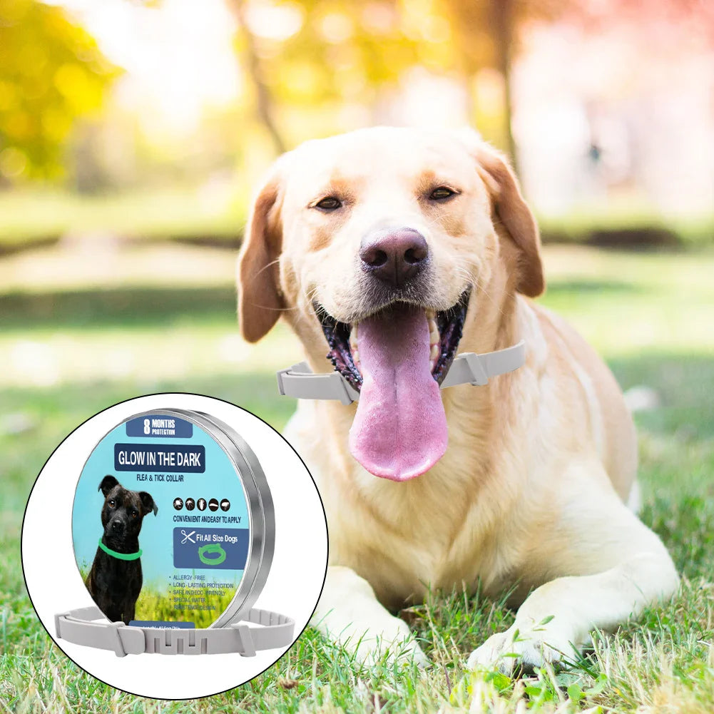 PetShield Fluorescent Flea Collar