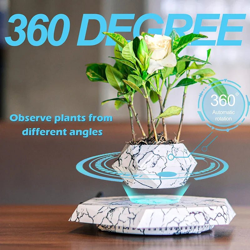 Veylo Floating Bonsai Planter - Aries x Rose
