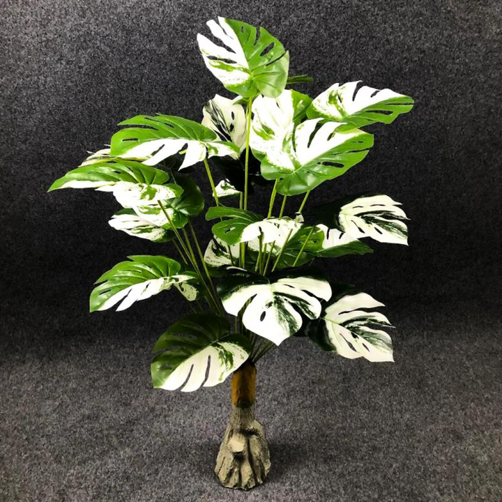 Eywa Tropical Plants