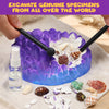 Ocean Fossil Dig Kit for Kids | STEM Shell Excavation & Marine Science Discovery Set