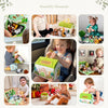 Mini Zoo Stuffed Animals Set | Interactive Plush Animal Toys for Toddlers