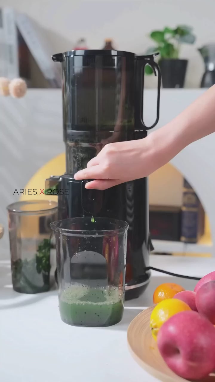 Celiberry Cold Press Juicer – Slow Masticating 55 RPM