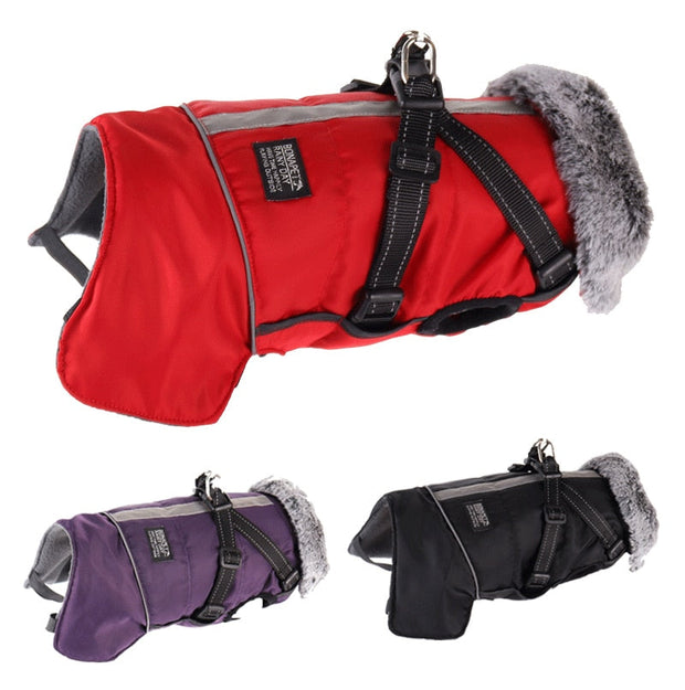 PawsGuard Waterproof Winter Jacket For Dogs With Harness