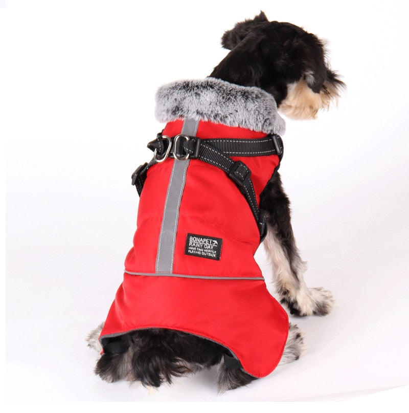 PawsGuard Waterproof Winter Jacket For Dogs With Harness
