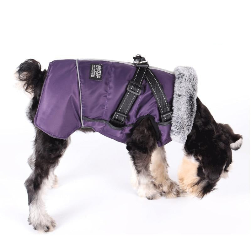 PawsGuard Waterproof Winter Jacket For Dogs With Harness