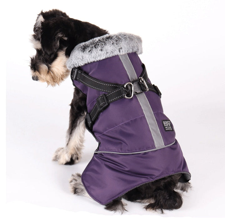 PawsGuard Waterproof Winter Jacket For Dogs With Harness