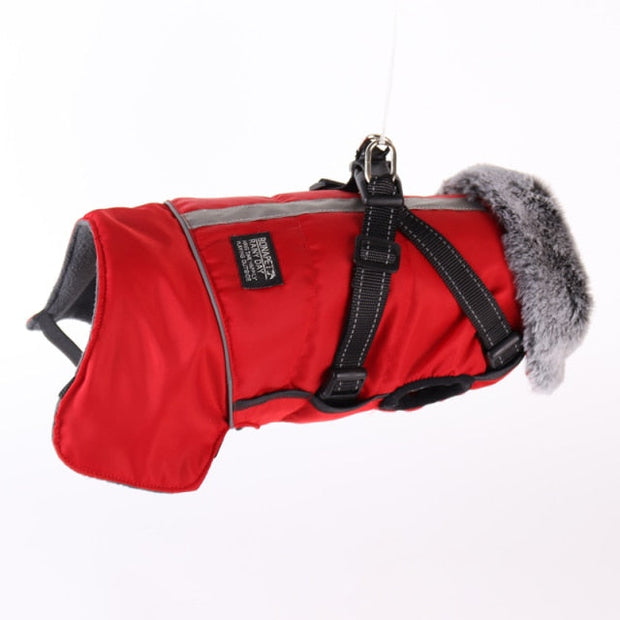 PawsGuard Waterproof Winter Jacket For Dogs With Harness