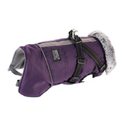PawsGuard Waterproof Winter Jacket For Dogs With Harness