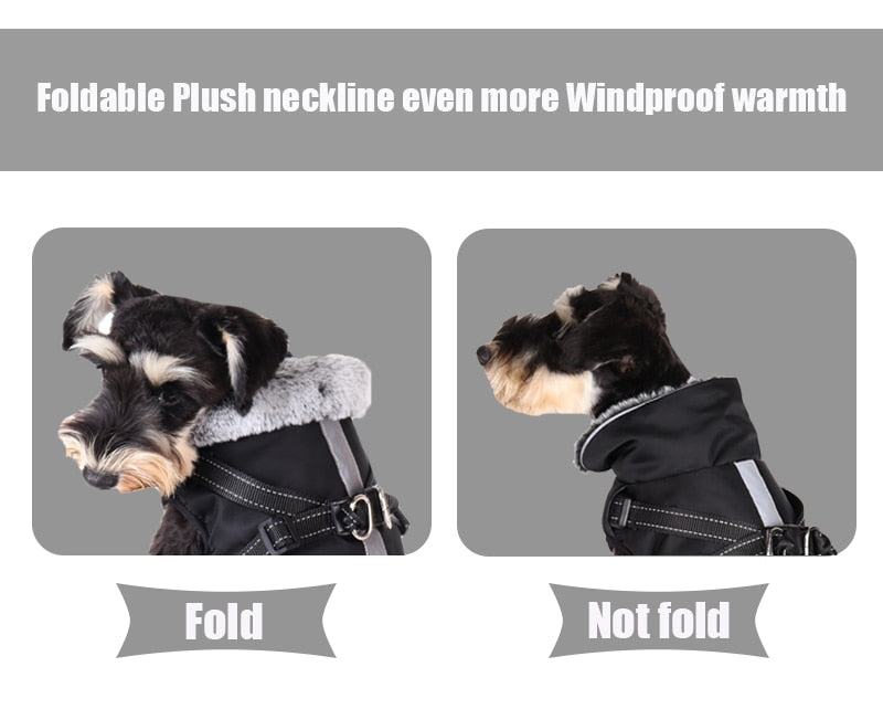 PawsGuard Waterproof Winter Jacket For Dogs With Harness