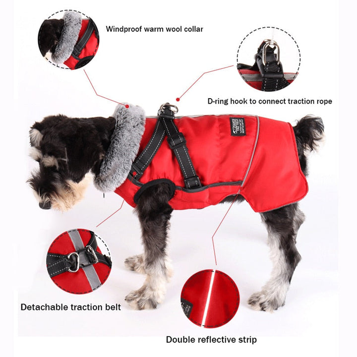 PawsGuard Waterproof Winter Jacket For Dogs With Harness