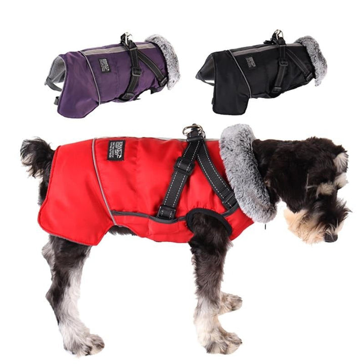 PawsGuard Waterproof Winter Jacket For Dogs With Harness